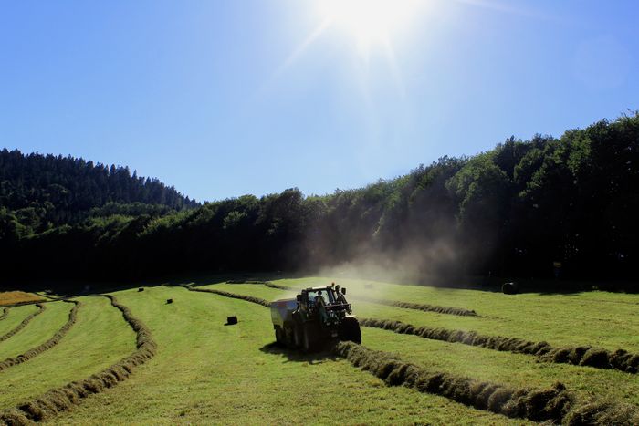 Jürgen Fath - Inhaber